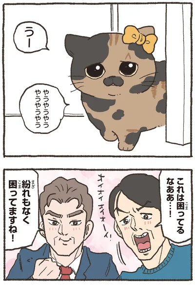『ねこに転生したおじさん 7』より