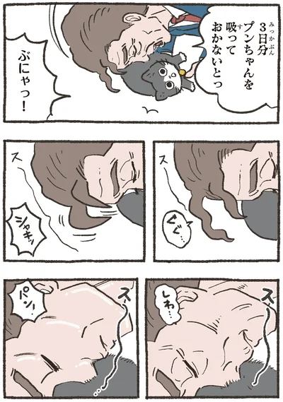 『ねこに転生したおじさん 7』より