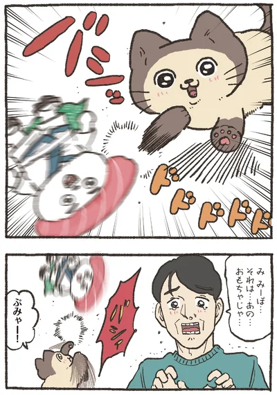あの…おもちゃじゃ…