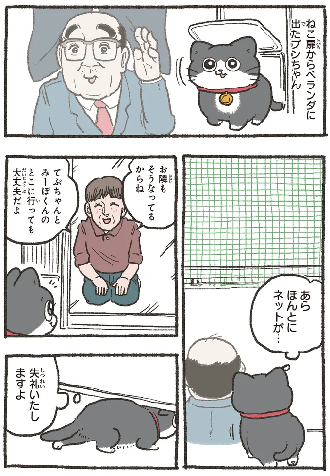 ねこ扉からベランダに