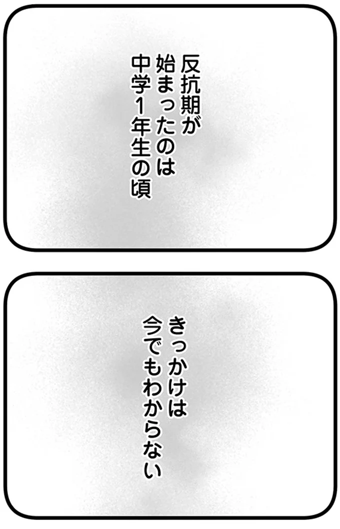 『15歳の息子が消えた日　不登校・卒業・そして家出』より