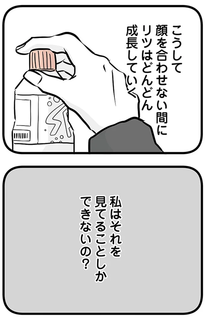 『15歳の息子が消えた日　不登校・卒業・そして家出』より