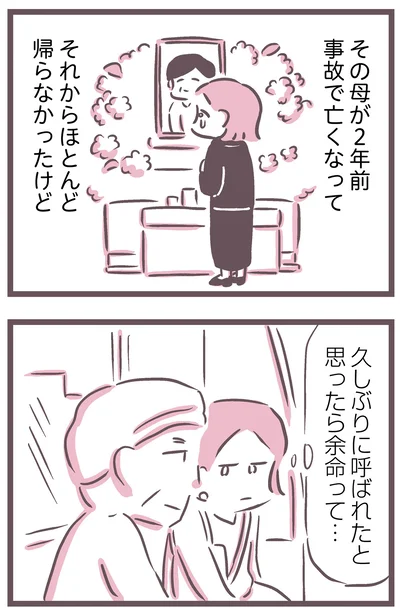 母が2年前亡くなって