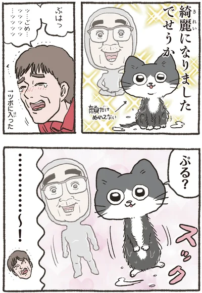 『ねこに転生したおじさん 8』より