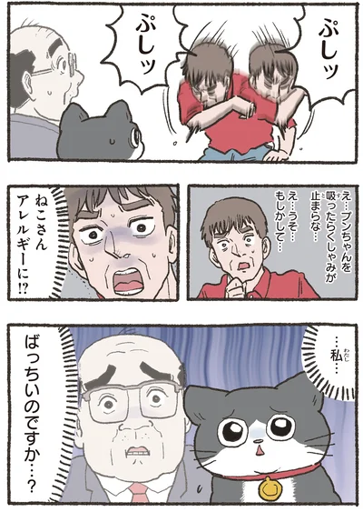 ねこさんアレルギーに！？