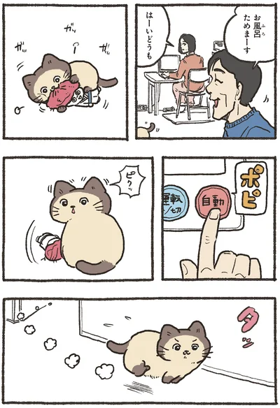 お風呂ためまーす