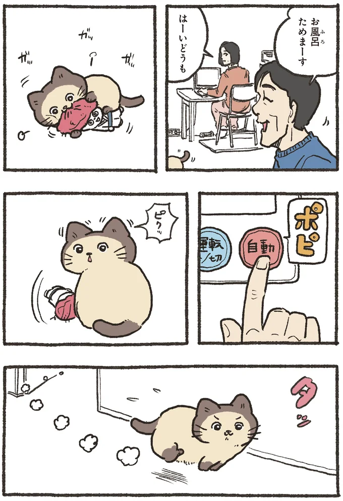 お風呂ためまーす