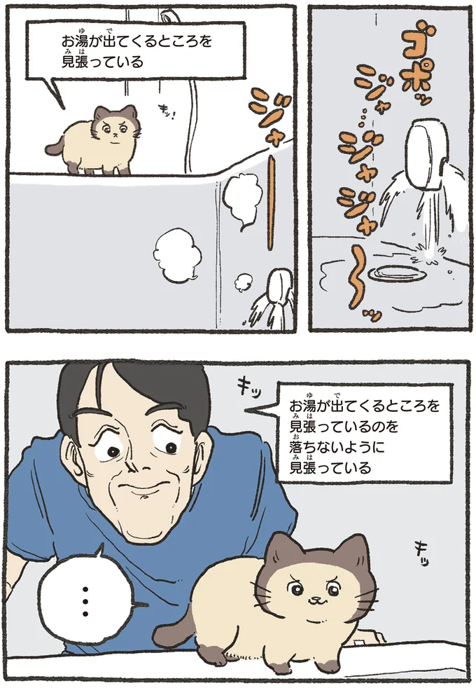 見張っているのを見張っている
