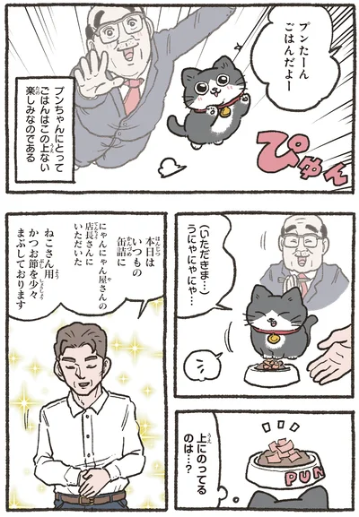 ごはんだよー