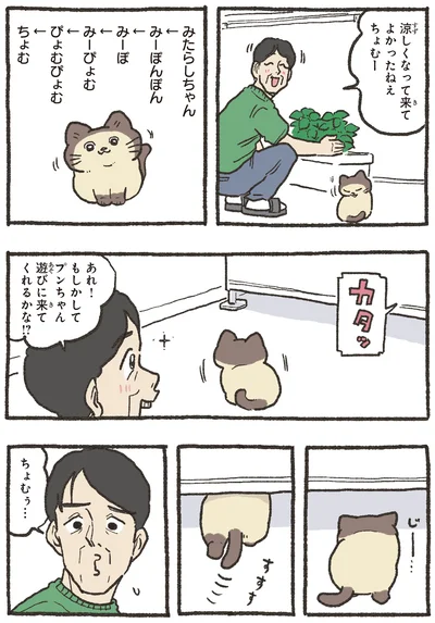 遊びに来てくれるかな！？