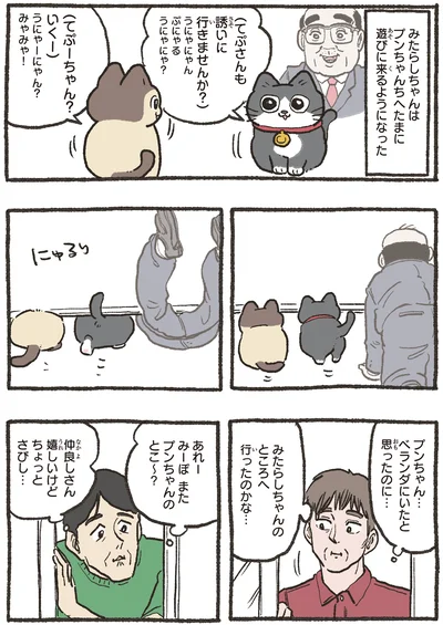 たまに遊びに来るようになった