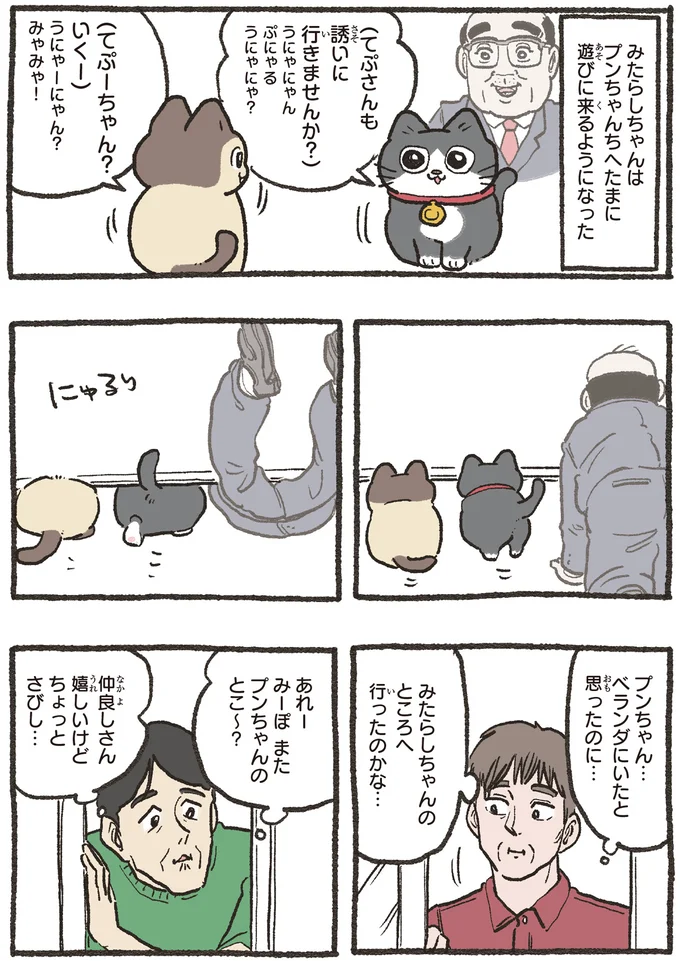 たまに遊びに来るようになった