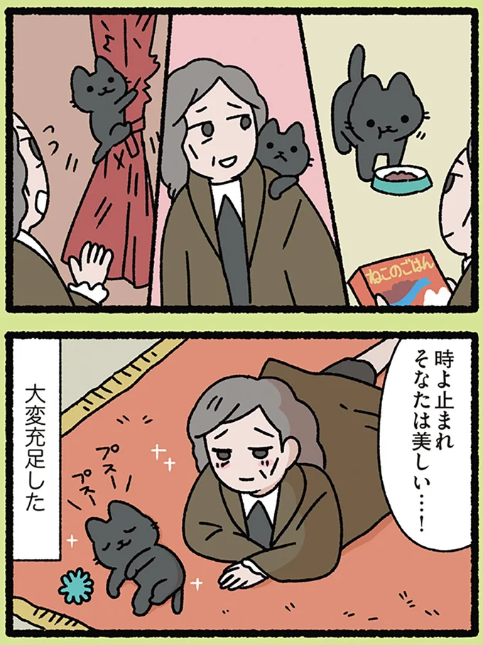 人生にはねこが必要