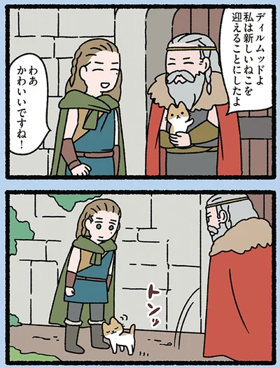 新しいねこを迎えたが