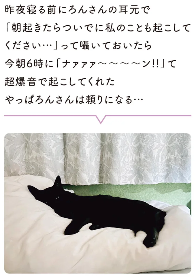 やっぱりろんさんは頼りになる…