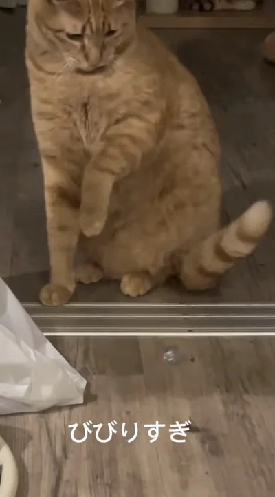 驚いて飛び跳ねる▶水を…（⇒次へ）