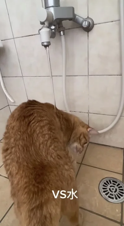 蛇口の水をつかもうとしている▶水が止まると…（⇒次へ）
