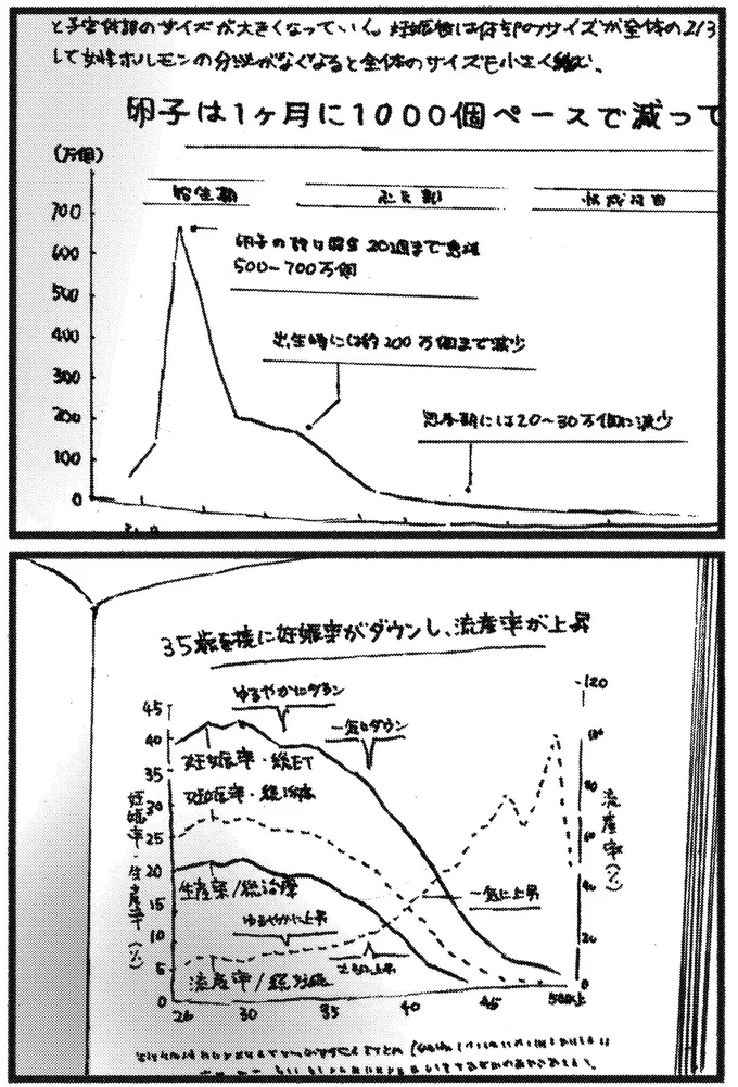 卵子は1ヶ月に