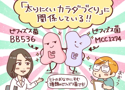 ヒトのおなかにすむ種類のビフィズス菌です！