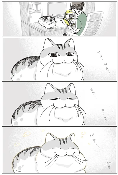 『夜は猫といっしょ7』より