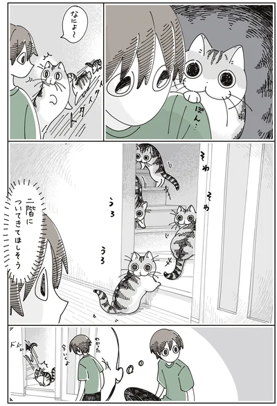 『夜は猫といっしょ7』より