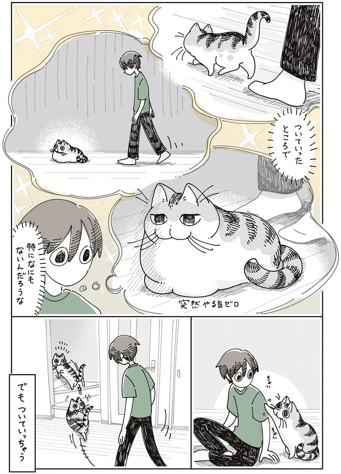『夜は猫といっしょ7』より