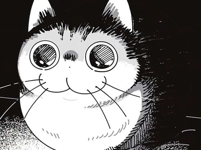 真っ暗な部屋でスマホをいじる飼い主。近くにネコが来て仕掛けられたドッキリ