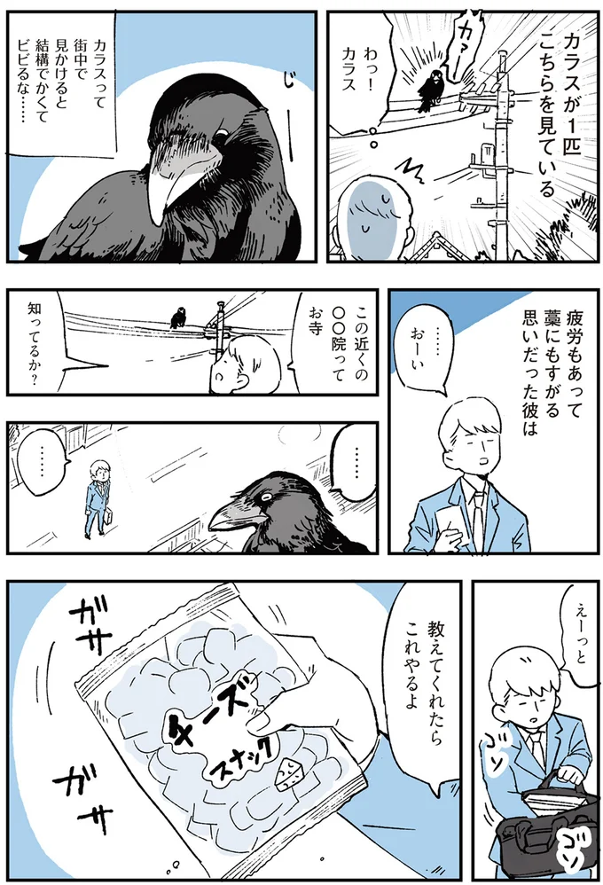 『いつもきみのそばに 動物たちが残した25個の不思議なメッセージ』より