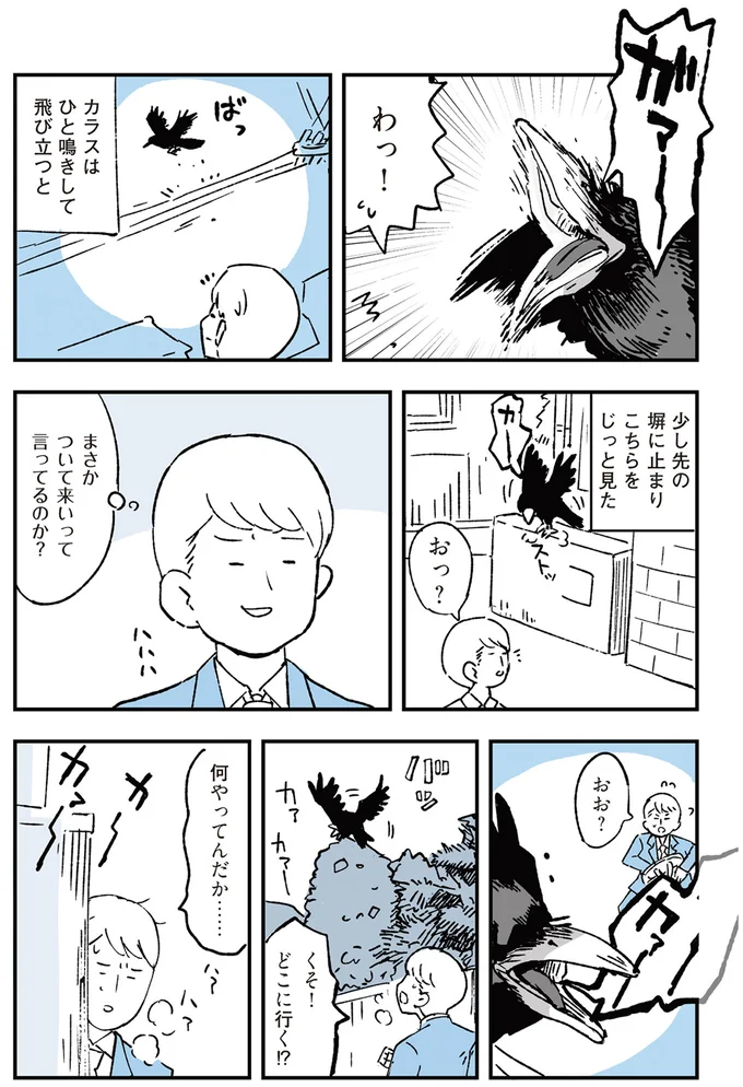 『いつもきみのそばに 動物たちが残した25個の不思議なメッセージ』より