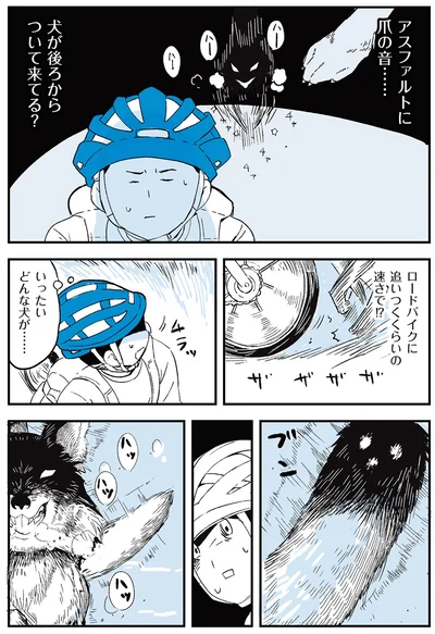 『いつもきみのそばに 動物たちが残した25個の不思議なメッセージ』より