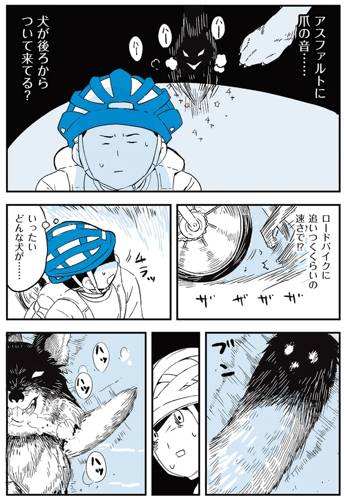『いつもきみのそばに 動物たちが残した25個の不思議なメッセージ』より