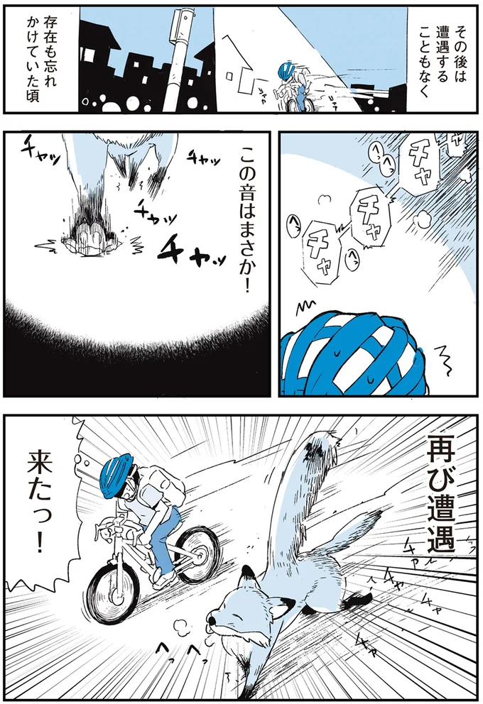『いつもきみのそばに 動物たちが残した25個の不思議なメッセージ』より