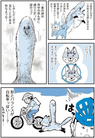 『いつもきみのそばに 動物たちが残した25個の不思議なメッセージ』より