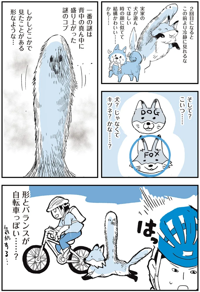 『いつもきみのそばに 動物たちが残した25個の不思議なメッセージ』より