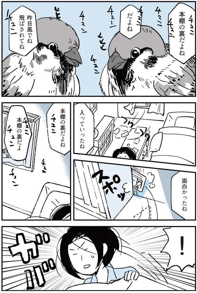 『いつもきみのそばに 動物たちが残した25個の不思議なメッセージ』より