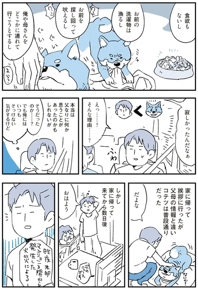 『いつもきみのそばに 動物たちが残した25個の不思議なメッセージ』より