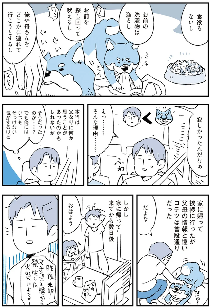 『いつもきみのそばに 動物たちが残した25個の不思議なメッセージ』より