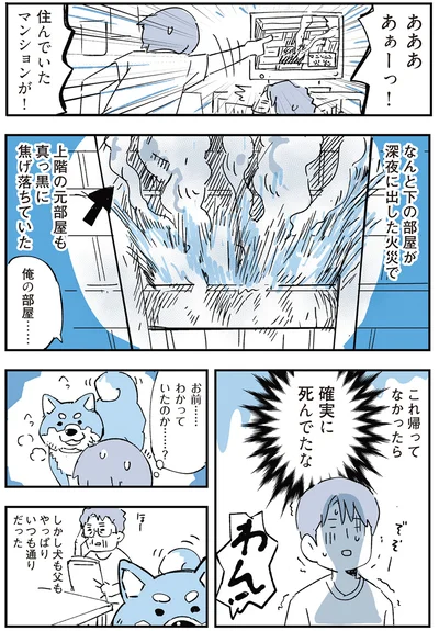 『いつもきみのそばに 動物たちが残した25個の不思議なメッセージ』より