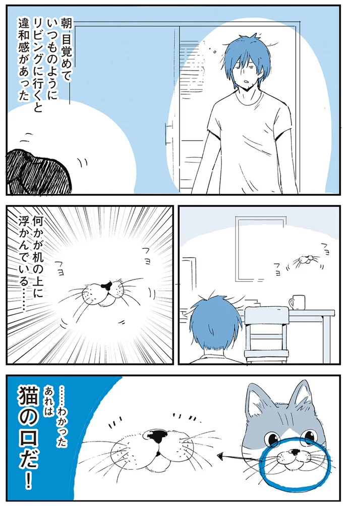 『いつもきみのそばに 動物たちが残した25個の不思議なメッセージ』より