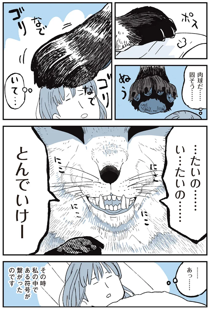 『いつもきみのそばに 動物たちが残した25個の不思議なメッセージ』より