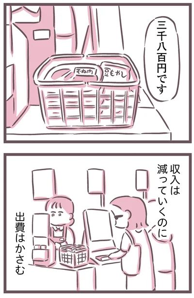 収入は減っていくのに