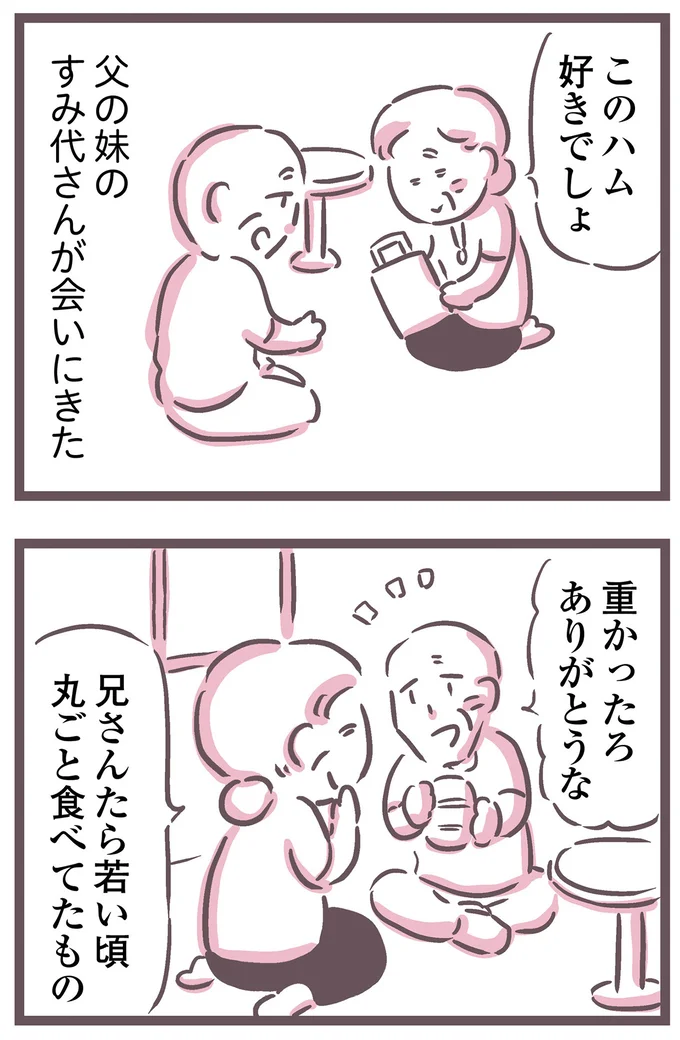 父の妹が会いにきた