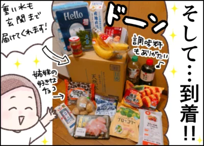 楽天マートでお買い物した商品が到着！