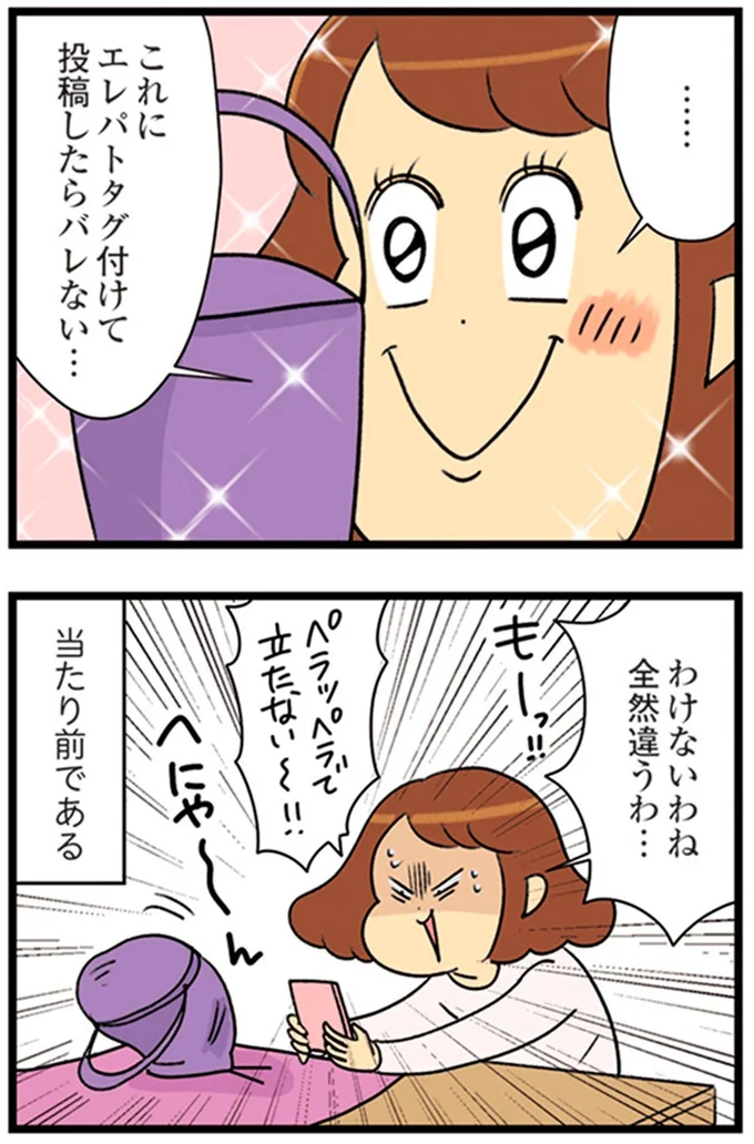 『150万のバッグが欲しい主婦の 夫に内緒の買い物日記』より