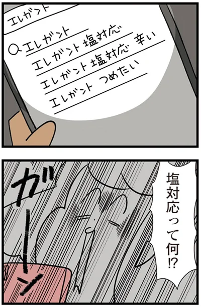 『150万のバッグが欲しい主婦の 夫に内緒の買い物日記』より