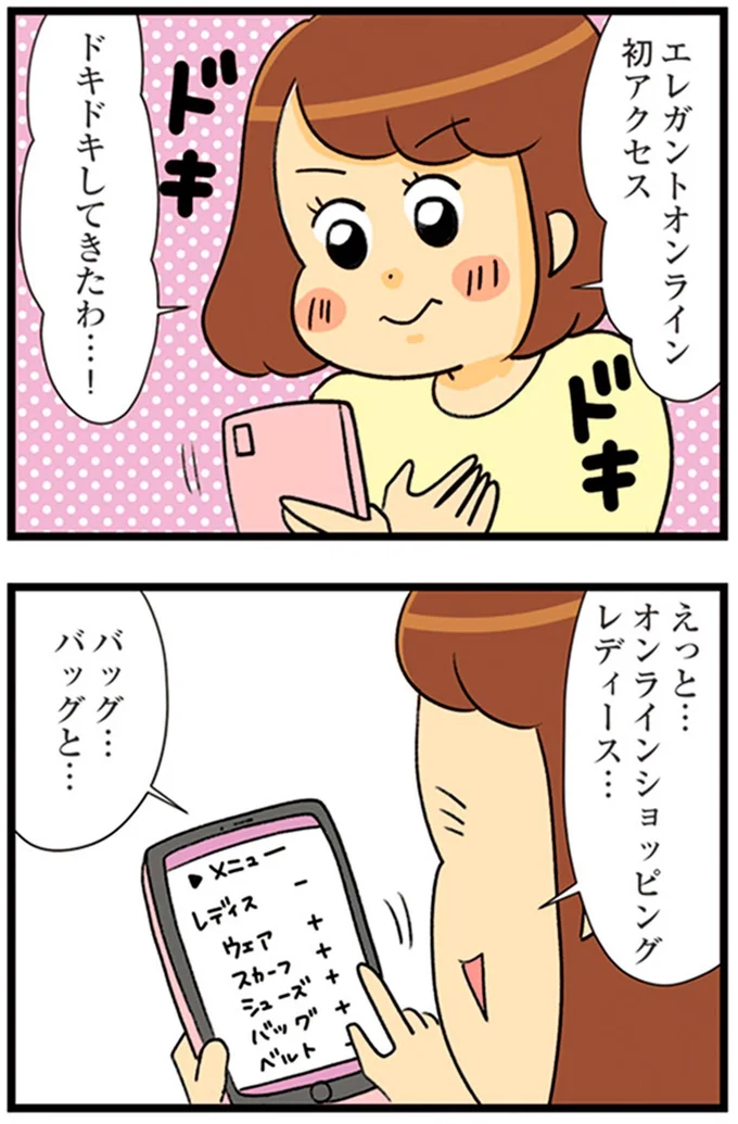 『150万のバッグが欲しい主婦の 夫に内緒の買い物日記』より