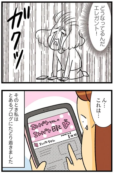 『150万のバッグが欲しい主婦の 夫に内緒の買い物日記』より