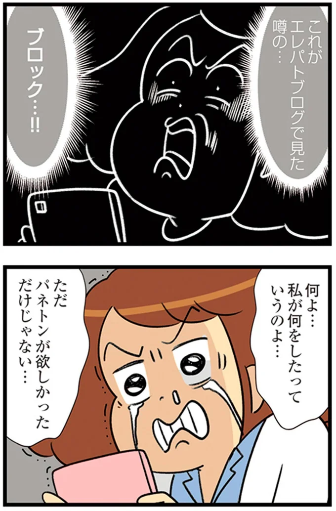 『150万のバッグが欲しい主婦の 夫に内緒の買い物日記』より
