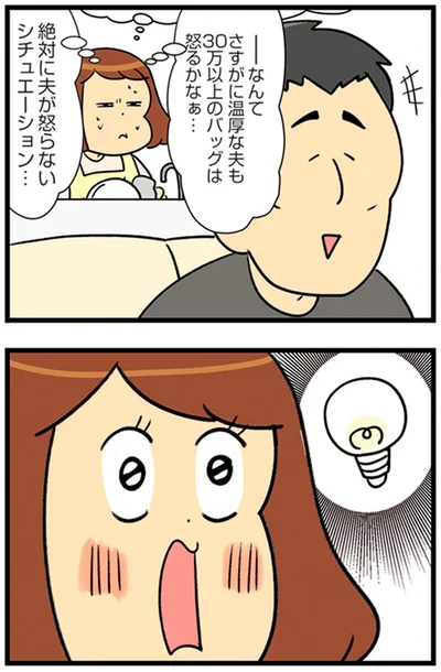 『150万のバッグが欲しい主婦の 夫に内緒の買い物日記』より