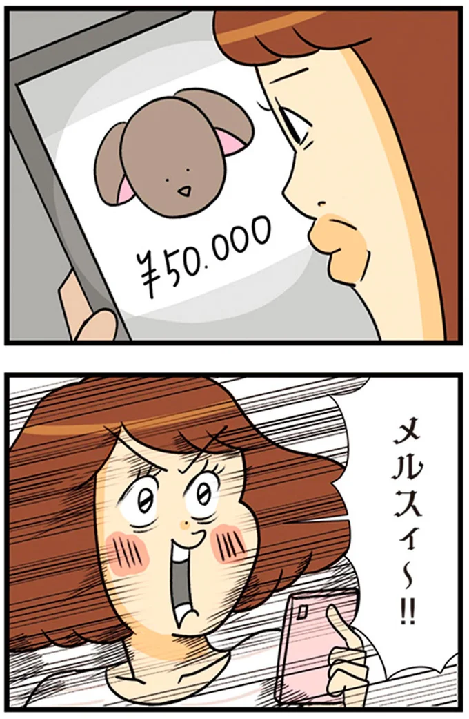 『150万のバッグが欲しい主婦の 夫に内緒の買い物日記』より
